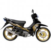 2011 Demak MS photo